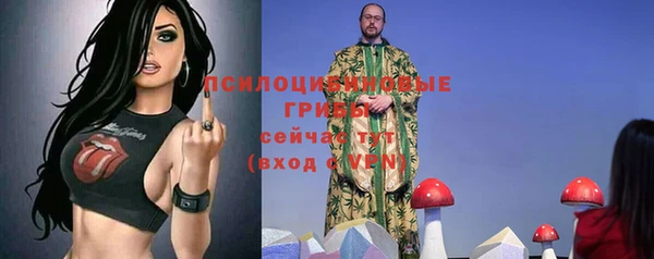 apvp Володарск