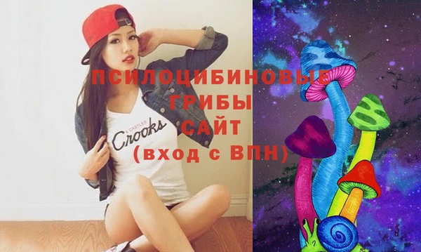 apvp Володарск