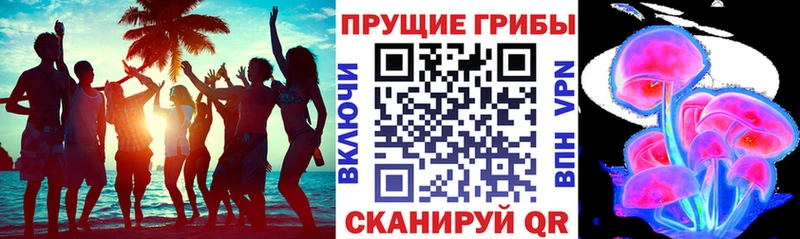 Галлюциногенные грибы Cubensis  Купить закладки  Вихоревка 